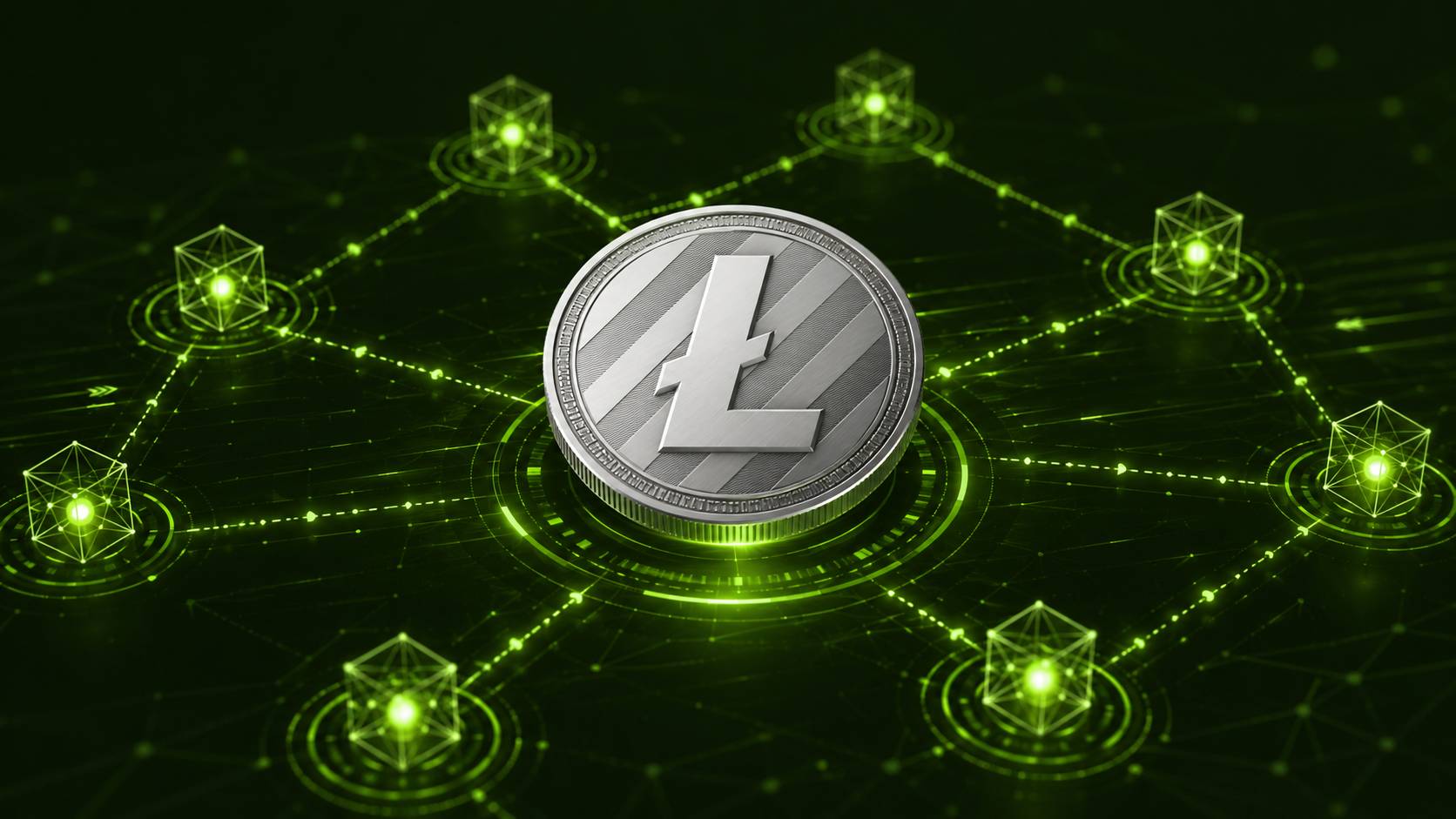 نمای شبکه انتقال لایت کوین Litecoin Mainnet.jpg